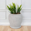 Planter Pots