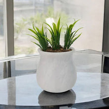 Load image into Gallery viewer, planter, indoor planter, marble planter
