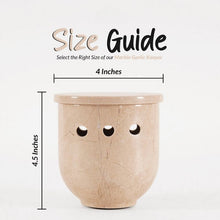 Load image into Gallery viewer, garlic holder, garlic container, garlic keeper, garlic jar
