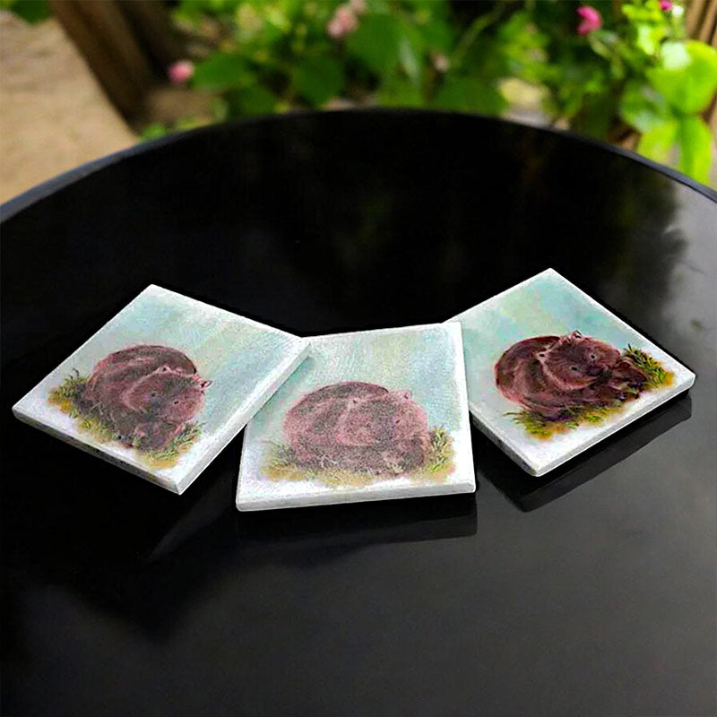 marble-coaster-set