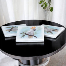 Load image into Gallery viewer, marble-coasters-australian-birds
