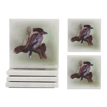 Load image into Gallery viewer, marble-coasters-australian-birds
