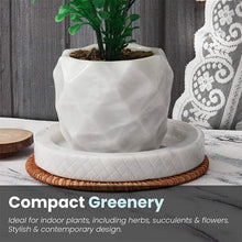 Load image into Gallery viewer, planter, indoor planter, marble planter
