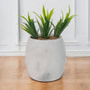 Planter Pots