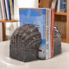 Shell Bookends