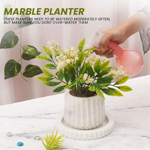 Straight Line Planter - 10cm