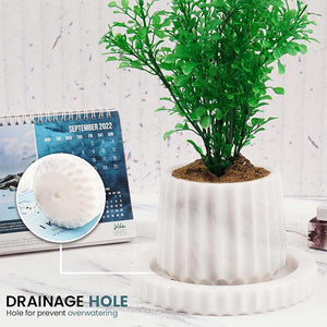 Straight Line Planter - 10cm