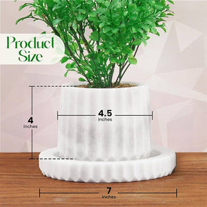 Straight Line Planter - 10cm