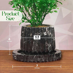 Straight Line Planter - 10cm