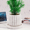 straight-line-planter-15cm